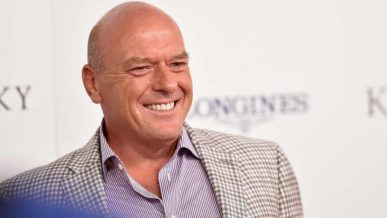 Dean Norris Bald Actor